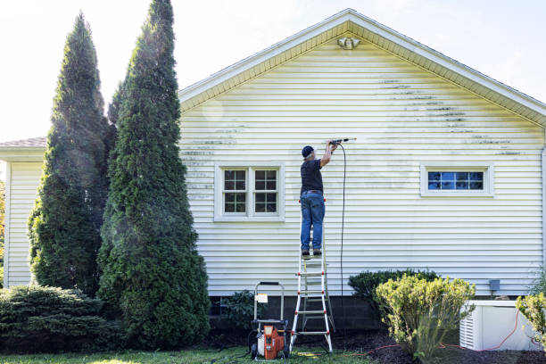 Best Graffiti Removal  in Huntington, TX